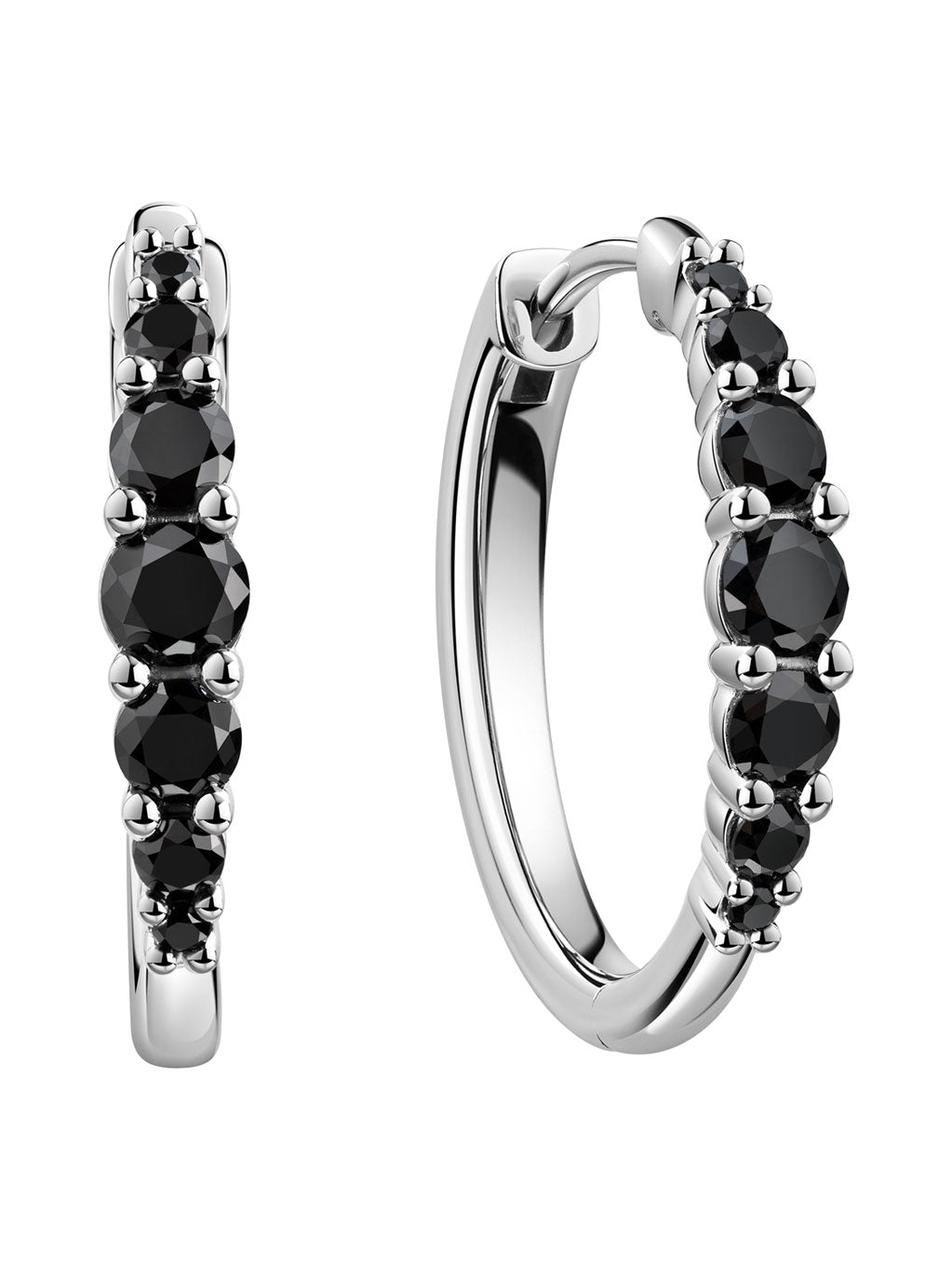 Produktbild von Creolen Peregrine