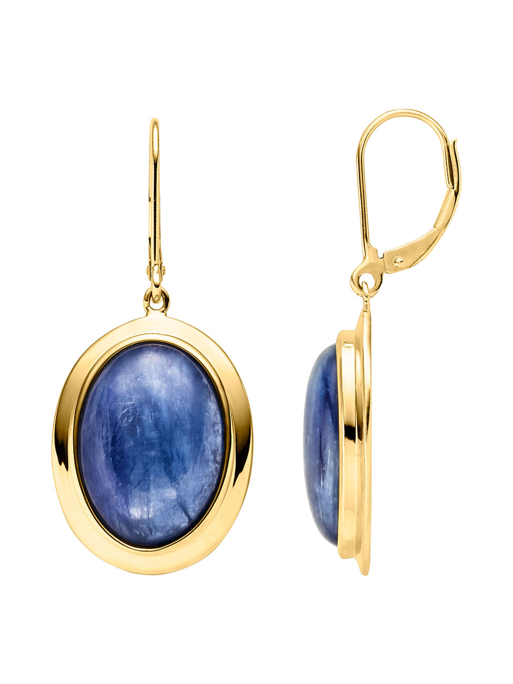 Produktbild von Ohrhänger Stokesia