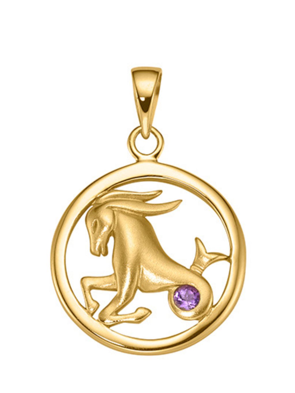 Produktbild von Sternzeichen-Anhänger Steinbock