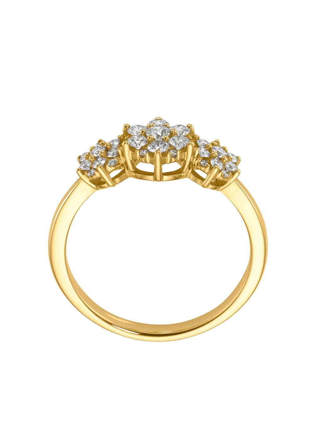 Produktbild von Damenring Anouk