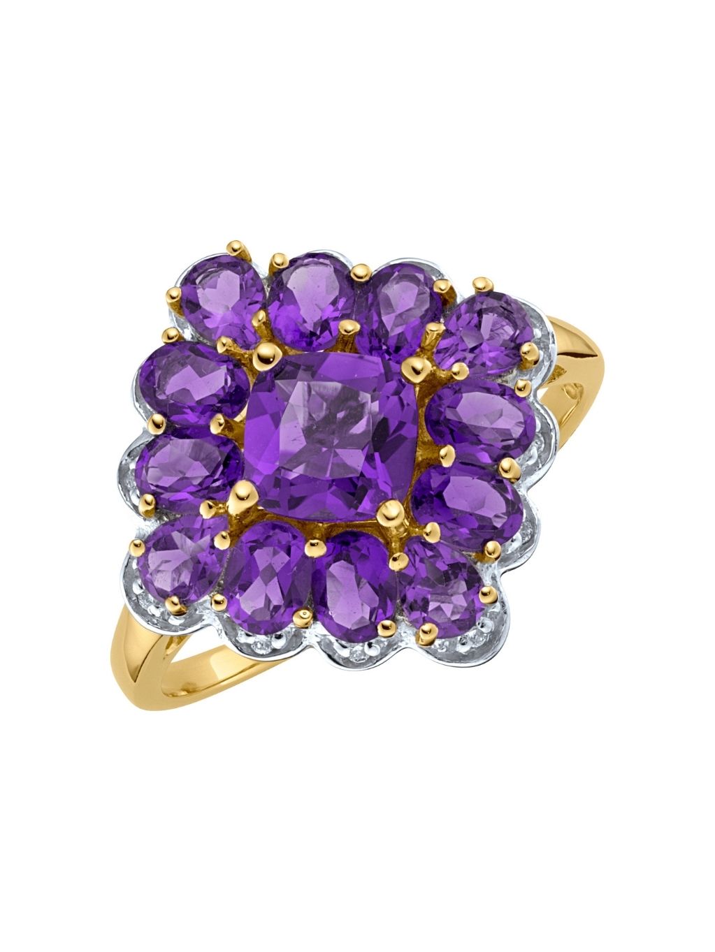 Produktbild von Damenring Limonium