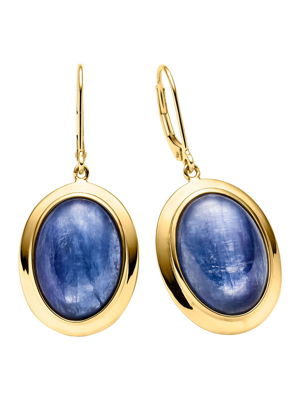 Produktbild von Ohrhänger Stokesia