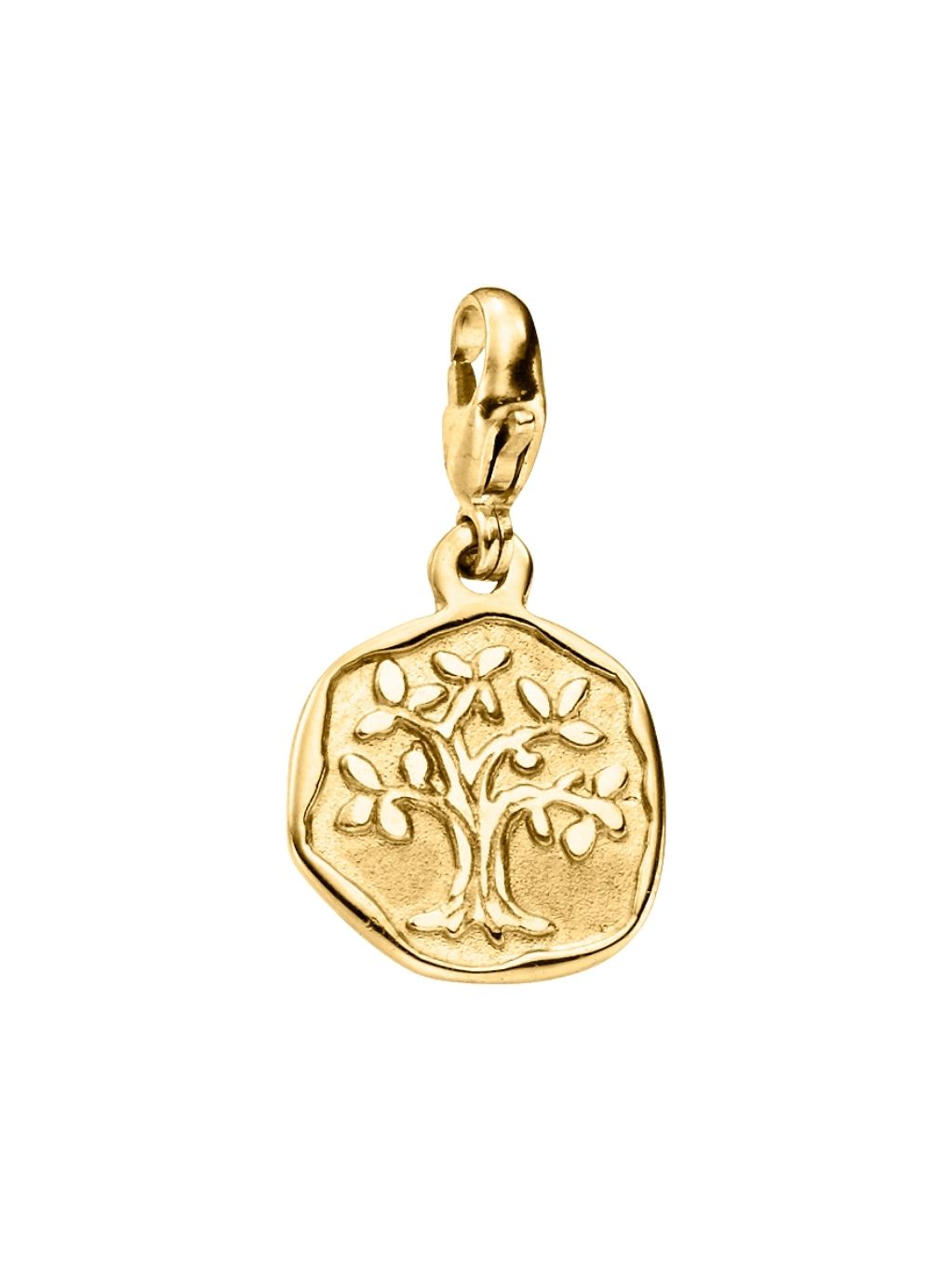 Produktbild von Charm-Anhänger Münze