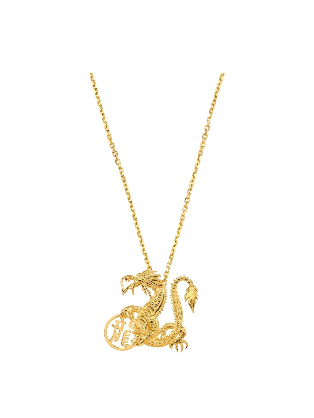 Produktbild von Anhänger mit Kette Glücksdrache