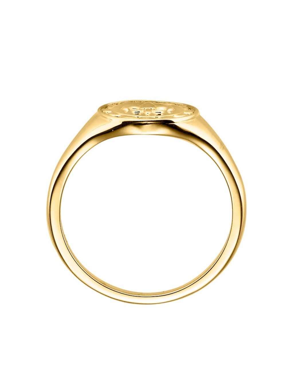 Produktbild von Damenring Danica